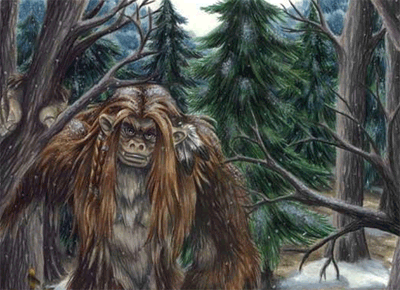 Bigfoot Shamans